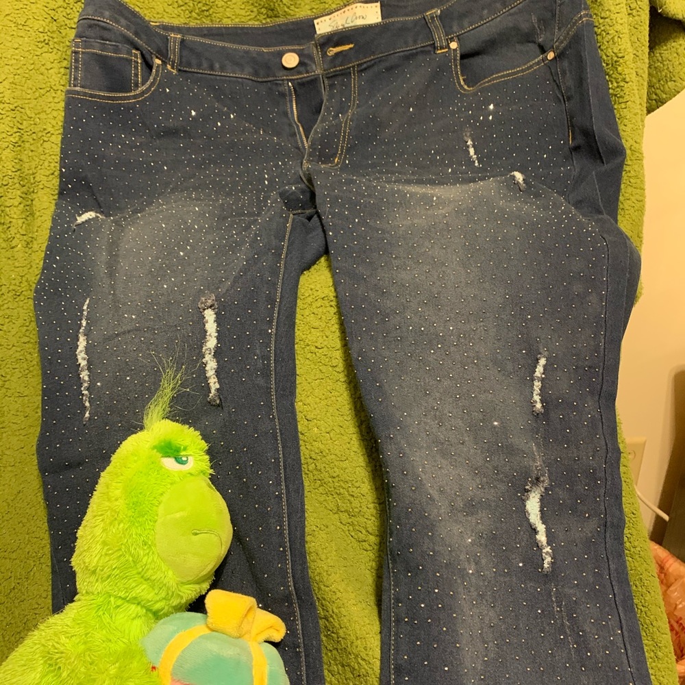 Sheryl Crow Embroidered Jeans Plus Size 20